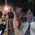 Tipu-tipu Juru Tagih Listrik Berujung Bui