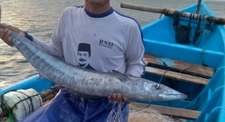 DOB Tasela Kecewa Pembahasan DOB Tasela Tak Masuk RPJMD