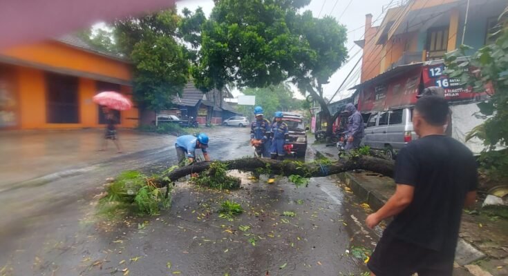 FK Tagana Gerak Cepat Evakuasi Pohon Tumbang, Lalin Jalan Muktamar Lancar