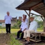 Wabup Tasikmalaya Perkuat Ketahanan Pangan, Siapkan Lahan Pembenihan Padi