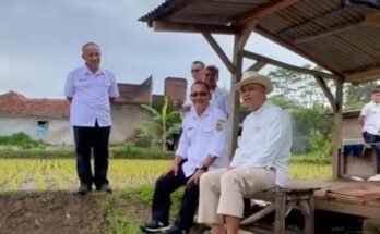 Siapkan lahan untuk produksi benih padi