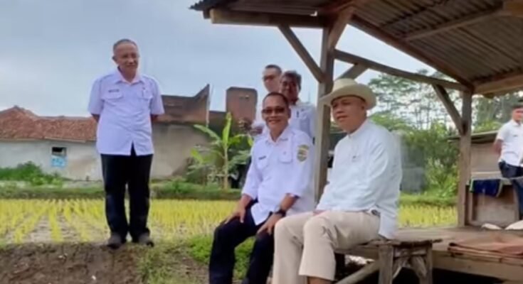 Siapkan lahan untuk produksi benih padi