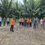 Niat Hati Ambil Kelapa, Pria 69 Tahun Kehilangan Nyawa