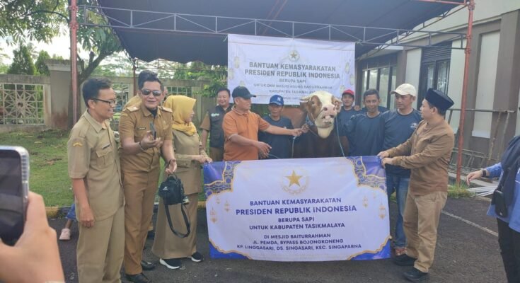Sapi Kurban Bantuan Presiden Prabowo