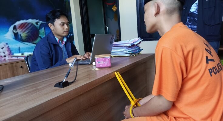 Pemeriksaan polisi
