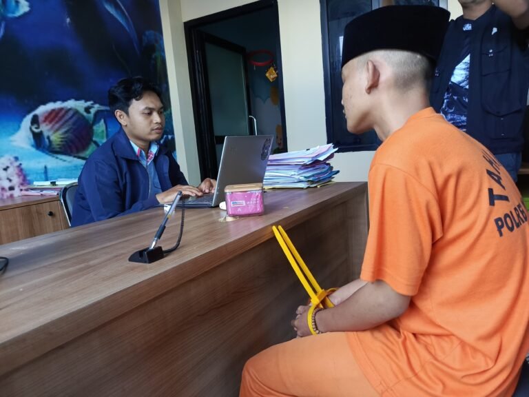 Pemeriksaan polisi