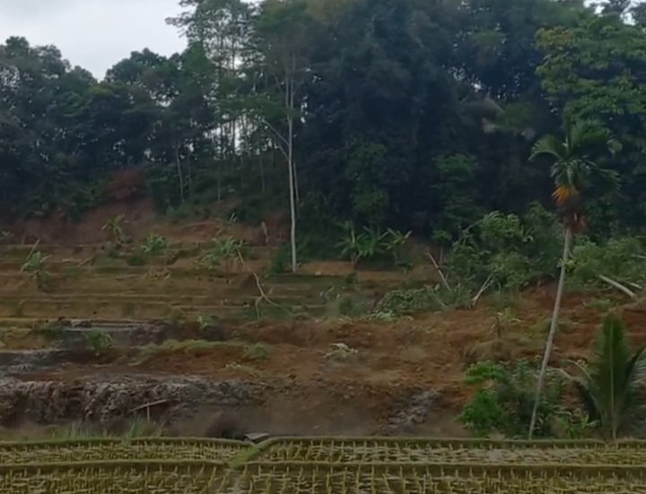 Longsor di Kampung Naga