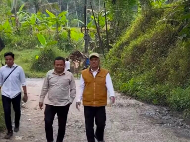 Wakil Bupati Tinjau Jalan Raya Taraju